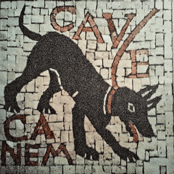kit mosaico cave canem